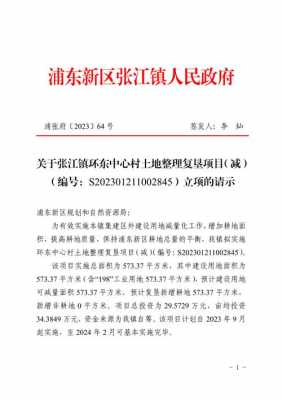 关于上海张江镇申请营业执照的信息-图3