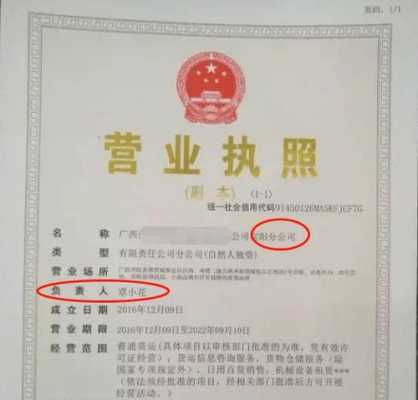 企业注册营业执照官方名称（企业注册营业执照官方名称怎么填写）-图2