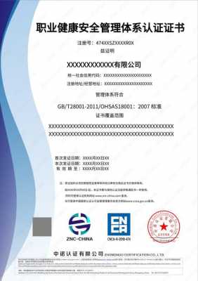 贵阳iso45001认证公司（贵阳bsci认证）-图3