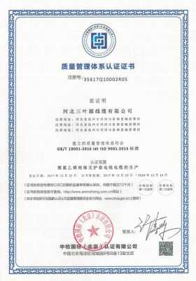 iso900认证体系（iso900认证是什么）-图2