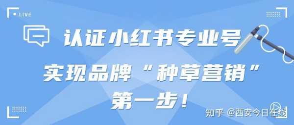 小红书个人职业资质认证怎么么填（小红书专业认证）-图1