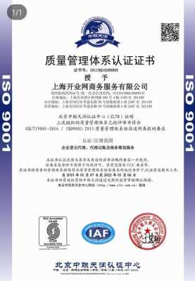 南充iso9001认证（iso9001认证在哪里办）-图3