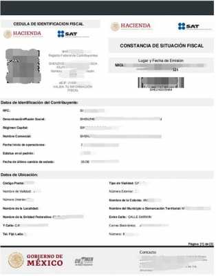 墨西哥营业执照图片大全（墨西哥公司注册流程）-图1