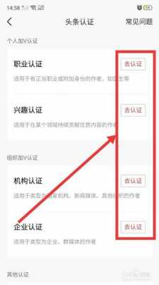 头条职业资质认证（头条职业资质认证有什么用）-图2