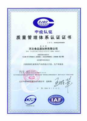 ISO9000认证覆盖业务范围（iso9000认证依据是哪个）-图3