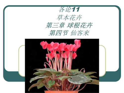 草本花卉生产许可范围（草本花卉的栽培管理及应用）