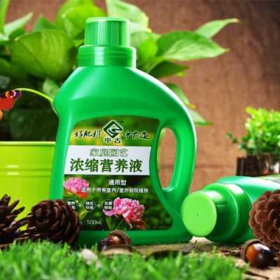 植物营养液生产许可证在哪里办理（植物营养液生产厂家）-图3