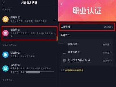 抖音职业认证资质怎么弄（抖音的职业认证）-图3
