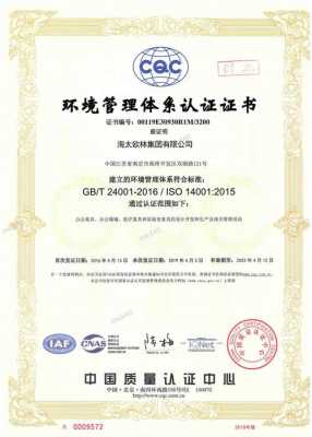 iso环境体系认证是什么意思呀（iso9001环境体系认证是什么意思）-图2