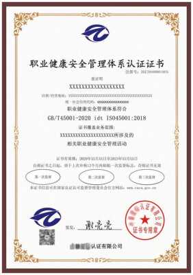 iso45001认证体系（iso45001认证需要准备的资料）-图2