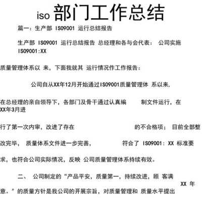 iso认证工作总结报告（iso认证工作有前途吗）-图1