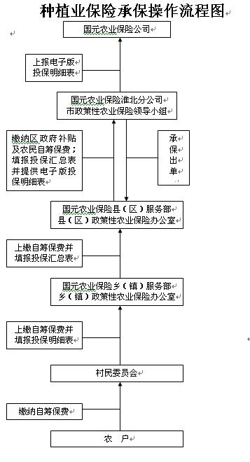 保险小风车资质认证（保险小风车资质认证流程）-图2