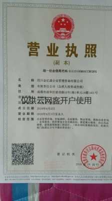 企业咨询公司营业执照照片（企业营业执照 照片）-图2