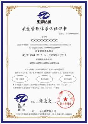 iso9001管理体系认证程序（iso9001质量体系认证程序）-图2